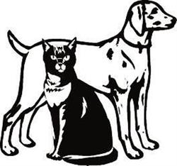 Bloor-Kipling Animal Clinic in Etobicoke, ON (Eatonville) - Opening Hours