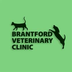 Brantford Veterinary Clinic, opening hours