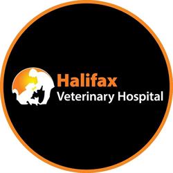 Halifax Veterinary Hospital, opening hours