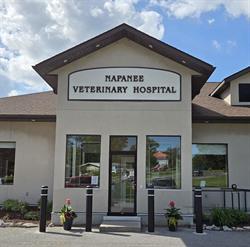Napanee Veterinary Hospital, opening hours