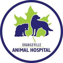 Orangeville Animal Hospital, opening hours
