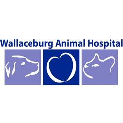 Wallaceburg Animal Hospital, opening hours