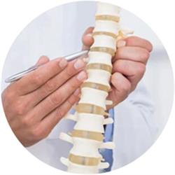 Chiropractic Wellness Centre, Chatham, ON opening hours