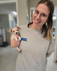 Bellevue Veterinary Hospital, Parksville, BC opening hours