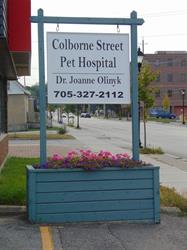 Colborne Street Pet Hospital, Orillia, ON opening hours