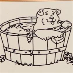 Sudsy Dog Grooming Salon The, Pitt Meadows, BC opening hours
