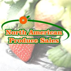 North American Produce Sales, Vancouver, BC opening hours