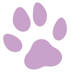 Schomberg Veterinary Services, opening hours