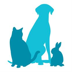 River Heights Animal Hospital, Saskatoon, SK opening hours