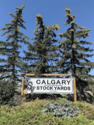 Calgary Stockyards-Strathmore, opening hours