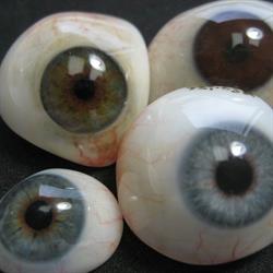 Ericksons Artificial Eyes Ltd in Vancouver, BC (Fairview) - Opening Hours