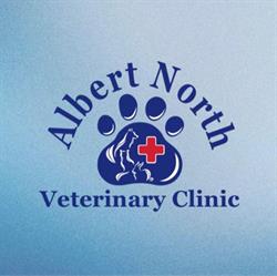 Albert North Veterinary Clinic, Regina, SK opening hours