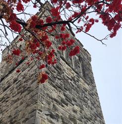 Anglican Church Of St Luke Ofc, Red Deer, AB opening hours