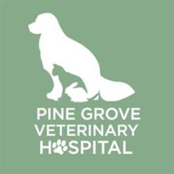 Pine Grove Veterinary Hospital, Orillia, ON opening hours