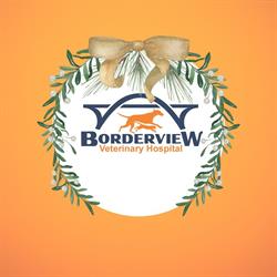 Borderview Veterinary Hospital, Fort Erie, ON opening hours