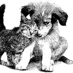Lawson Heights Animal Hospital, Saskatoon, SK opening hours