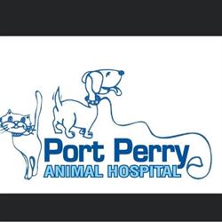 Port Perry Animal Hospital, opening hours