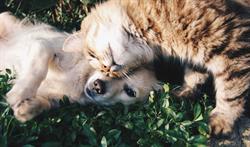 Humane Society-Yukon/Mae Bachur, Whitehorse, YT opening hours