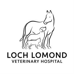 Loch Lomond Veterinary Hospital, Saint John, NB opening hours