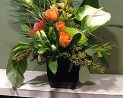 Cal's Grower Direct in Edmonton, AB (West Edmonton) - Opening Hours