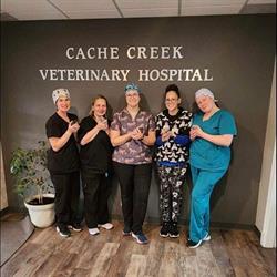 Cache Creek Veterinary Hospital, opening hours