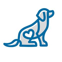 Mccann Professional Dog Trainers, Dundas, ON opening hours