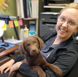 Merrickville Veterinary Services, opening hours