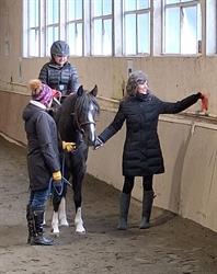 Cowichan Therapeutic Riding Assn, Duncan, BC opening hours