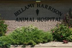 Bellamy Harrison Animal Hospital, Moose Jaw, SK opening hours