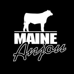 Canadian Maine-Anjou Association in Calgary, AB (Thorncliffe) - Opening Hours