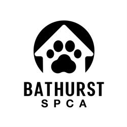 Animal Shelter (Bathurst) & Spca, opening hours