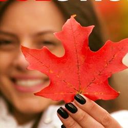 Solutions Immigration Consulting in North York, ON (York University Heights) - Opening Hours