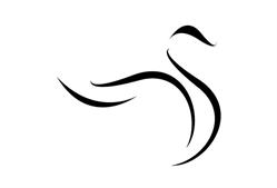 Steckley-Gooderham Funeral Homes, Barrie, ON opening hours