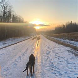 Barr-North Veterinary Services Ltd., Barrhead, AB opening hours