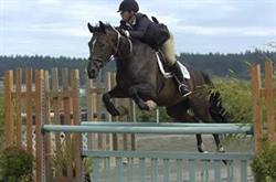Millshaw Meadows Equestrian Centre, Mill Bay, BC opening hours