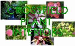 Crossfield Plant Interiors Limited, King City, ON opening hours