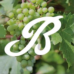 Borrelli Wines Ltd-Vin Bon Windsor, opening hours