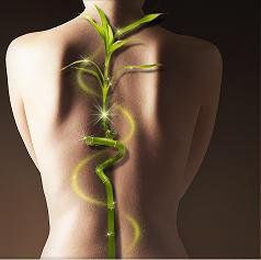Health For Life Family Chiropractic, Oakville, ON opening hours