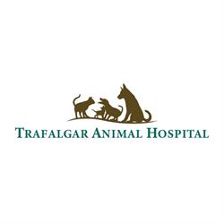 Trafalgar Animal Hospital, Oakville, ON opening hours
