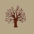 Edu-Care Daycare & After School Care in Edmonton, AB (West Edmonton) - Opening Hours