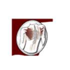 Lepage Osteopathic Clinic, Orleans, ON opening hours