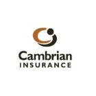 Cambrian-Despres Insurance Brokers Ltd, Huntsville, ON opening hours