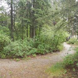 Springbrook Resort Motel & RV Park, Skookumchuck, BC opening hours