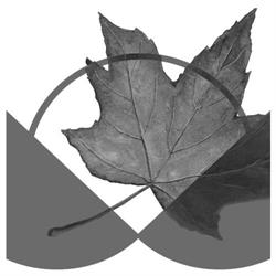 Canadian Centre For Policy Alternatives in Ottawa, ON (Byward Market - Parliament Hill) - Opening Hours