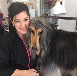 Town n Country Grooming & Pet Supplies, Morden, MB opening hours
