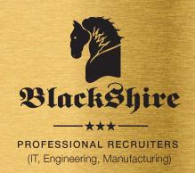 Blackshire Technical Recruiting Services, New Westminster, BC opening hours