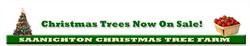 Saanichton Christmas Tree & Ostrich Farm, opening hours