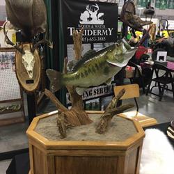 Woods and Water Taxidermy and Guiding Services, Campbellford, ON opening hours