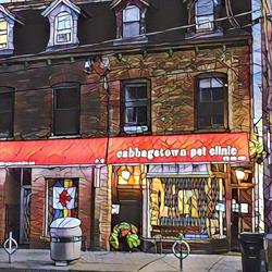 Cabbagetown Pet Clinic Professional Corporation in Toronto, ON (Downtown) - Opening Hours