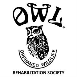 Owl (Orphaned Wildlife) Rehabilitation Society, Delta, BC opening hours